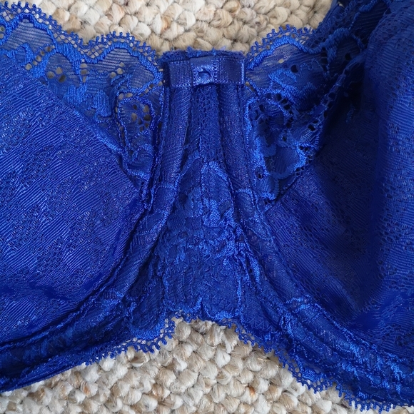 38D Panache Envy Bra - Picture 3 of 11